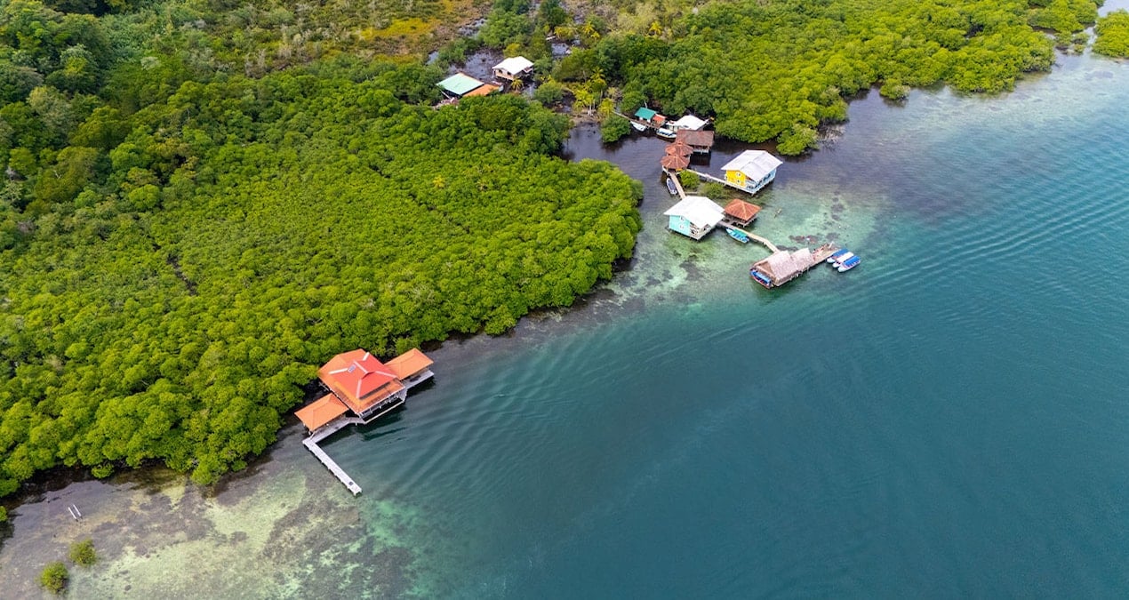 40 yil sonra ilk kez basarisiz oldu okyanuslarin kalp atisi durdu Px3yhS5q