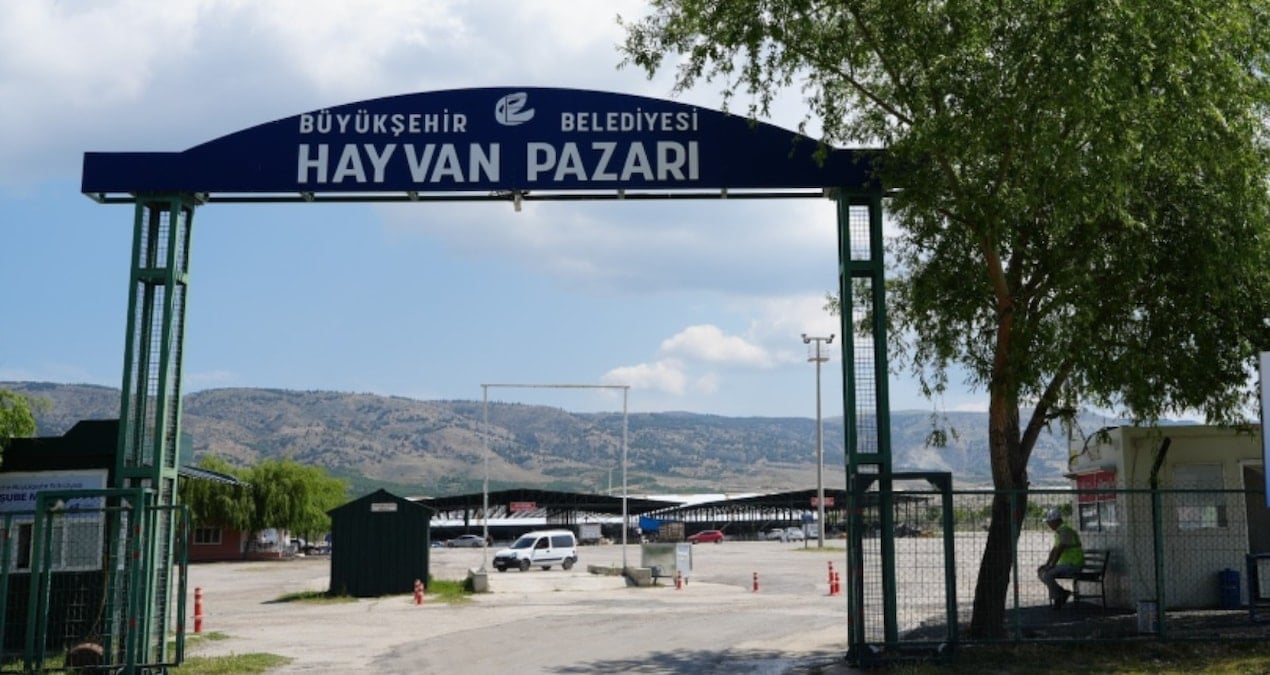 belediye acikladi sap hastaligi nedeniyle hayvan pazari kapatildi 742JkQ1A