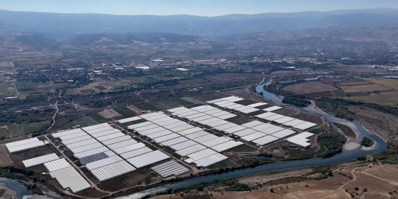 erbaada kesme cicek uretimi artiyor iSBaPbIs