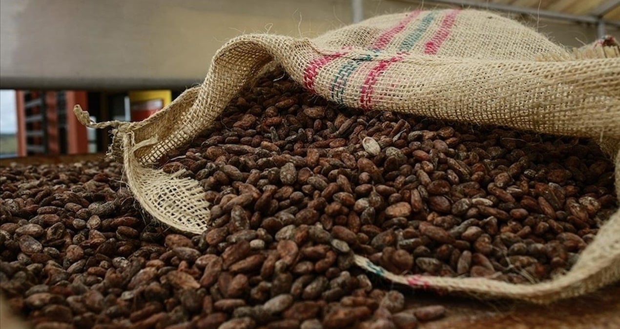 gecen yil rekor kirmisti bu kez sert dustu kakao fiyatlari eriyor yi1kqfUf