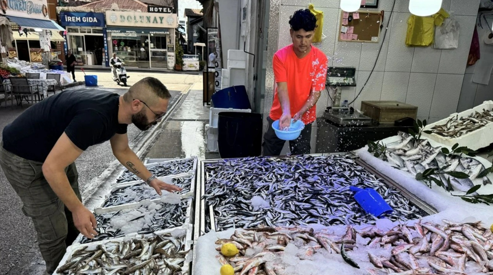 hamsi fiyatlarinda dusus sinyali H7gwXMxp