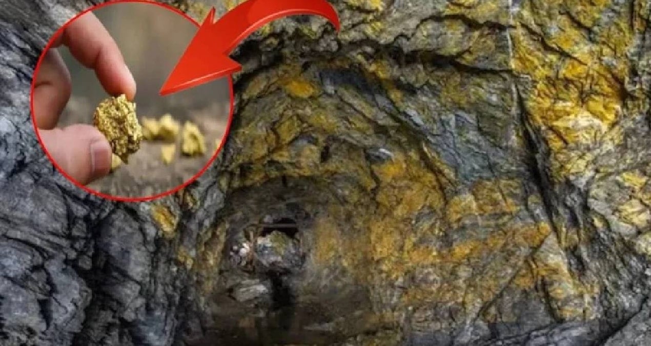 dunyanin en derin 10 altin madeni yerin altina iniyorlar kulce kulce altin cikariyorlar gx3K9ct7.jpg