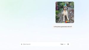 Google, Yapay Zeka Görsellerinin Doğrulanmasını Sağlayan Circle to Search Özelliğini Tanıttı