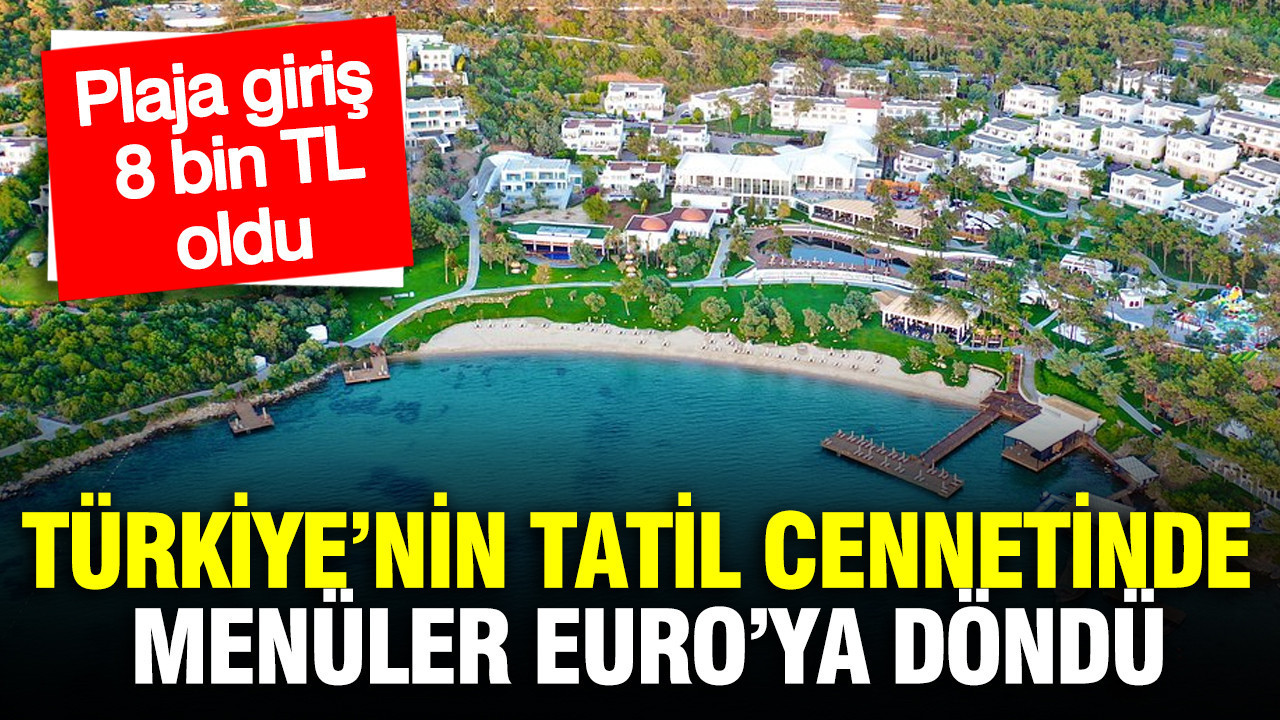 turkiyenin-tatil-cennetinde-menuler-euroya-dondu-plaja-giris-8-bin-tl-SEZabeTf