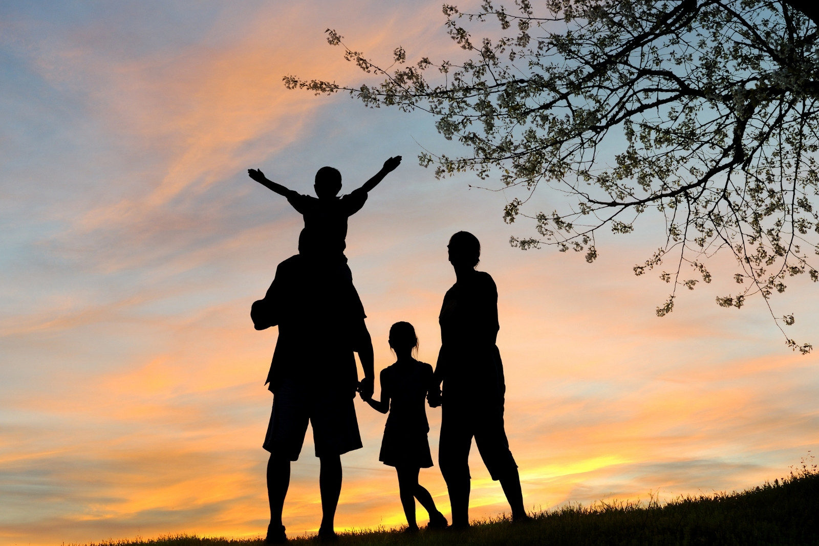Aile ve nüfus yapısındaki değişimlere sıkı takip geliyor, artık düzenli izlenecek