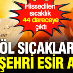 Haber gorseli