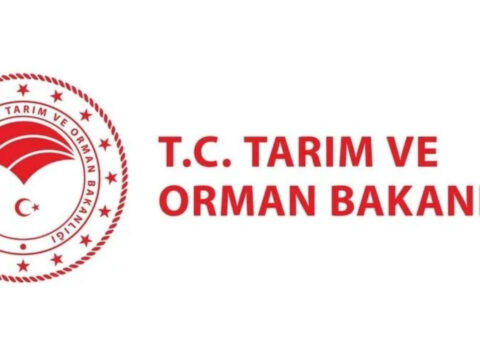 Tarim ve orman bakanligi sozlesmeli personel alimi ne zaman kadro ve brans dagilimi nedir NEuzAckG