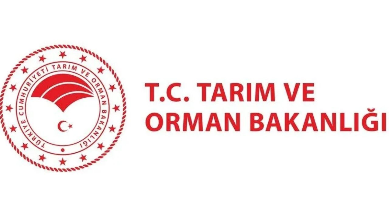 Tarim ve orman bakanligi sozlesmeli personel alimi ne zaman kadro ve brans dagilimi nedir NEuzAckG